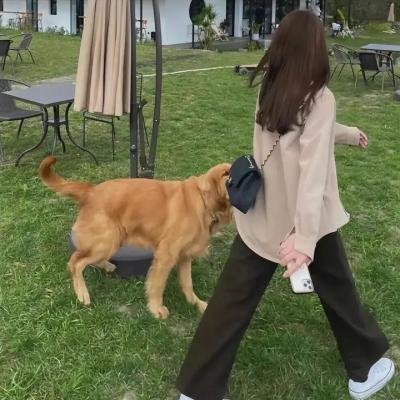 足下使命